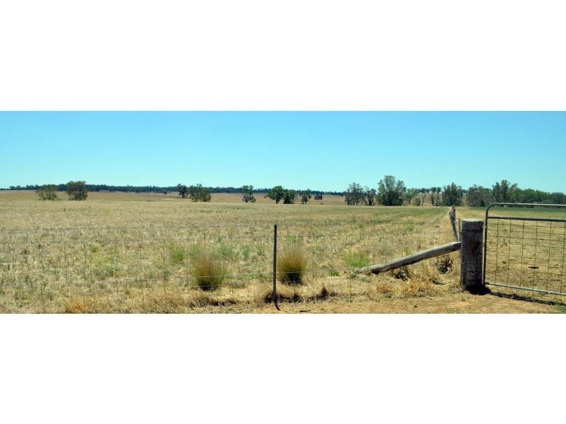 Dunedoo NSW 2844