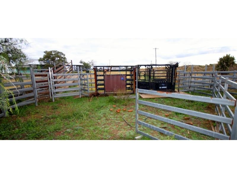 Geurie NSW 2831
