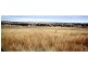 Geurie NSW 2831