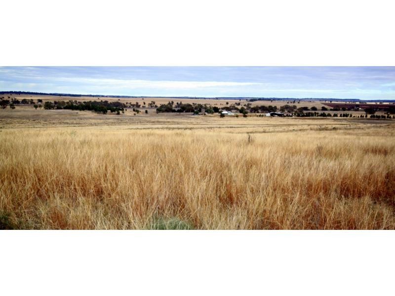 Geurie NSW 2831