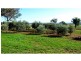 “Narran Park” Cobbora Road, Elong Elong NSW 2831
