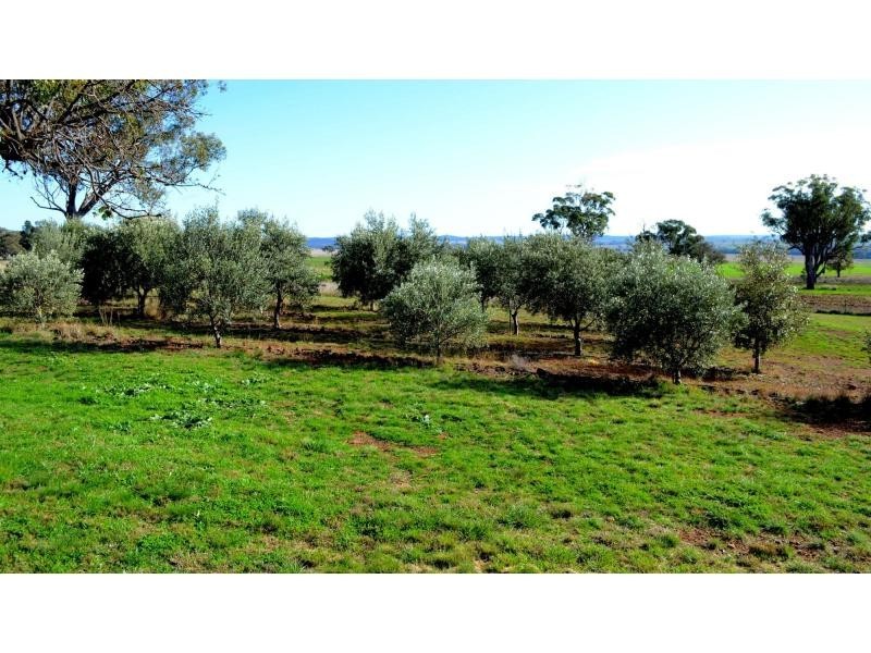 “Narran Park” Cobbora Road, Elong Elong NSW 2831