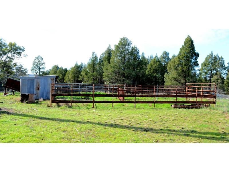 “Narran Park” Cobbora Road, Elong Elong NSW 2831