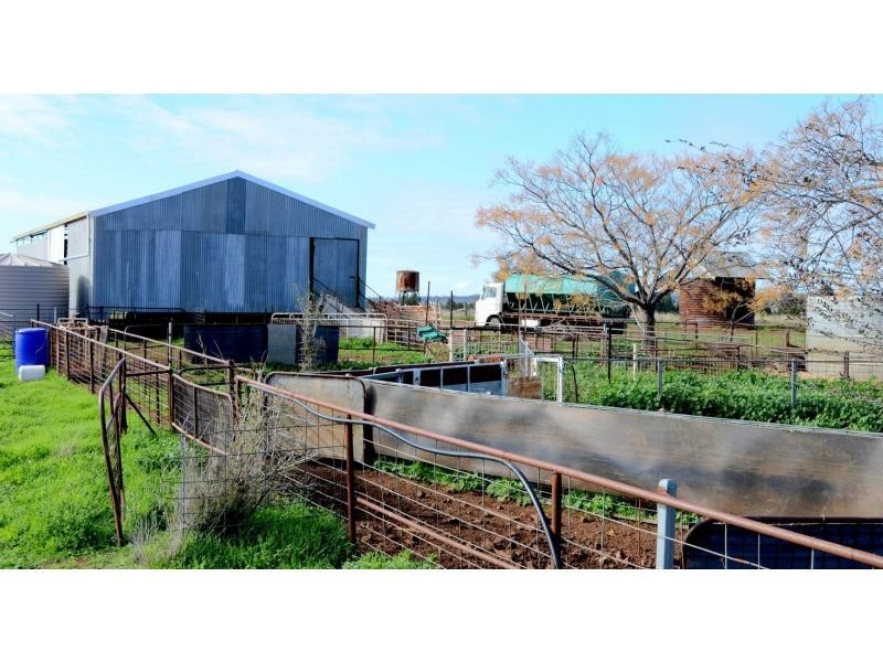 “Narran Park” Cobbora Road, Elong Elong NSW 2831