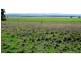 “Narran Park” Cobbora Road, Elong Elong NSW 2831