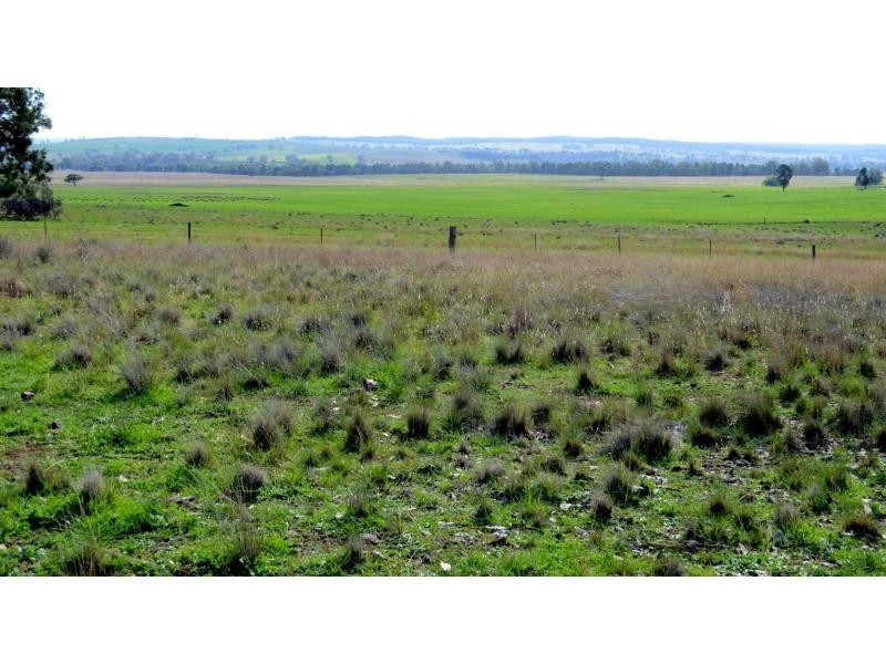 “Narran Park” Cobbora Road, Elong Elong NSW 2831