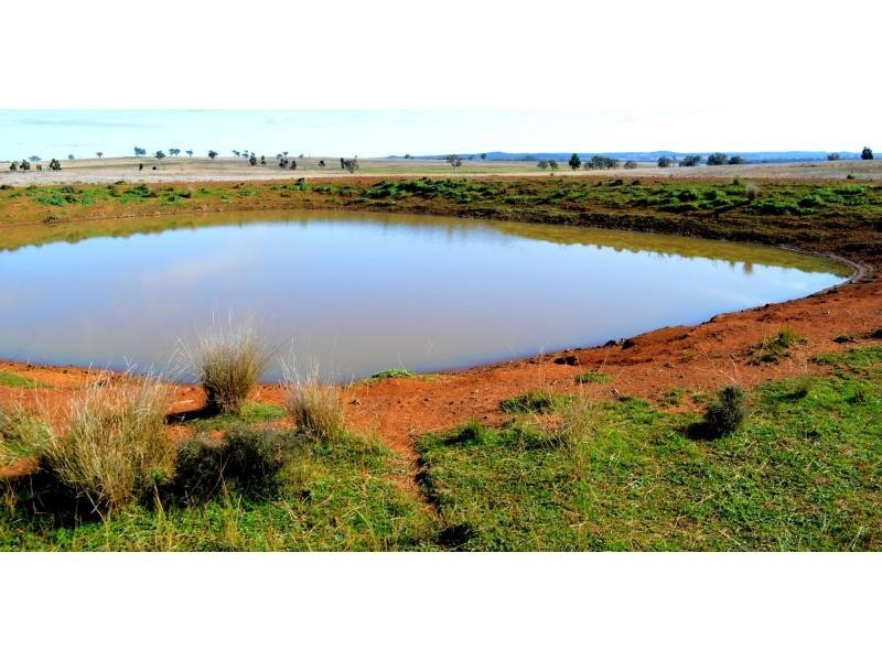 “Narran Park” Cobbora Road, Elong Elong NSW 2831