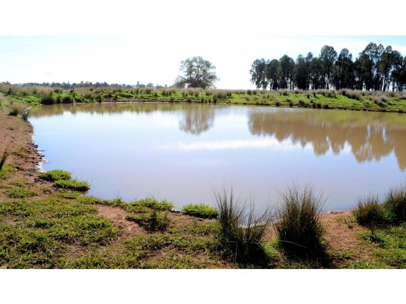 “Narran Park” Cobbora Road, Elong Elong NSW 2831