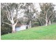 “Maybrook” 648 River Road, (Ponto Area), Geurie NSW 2831