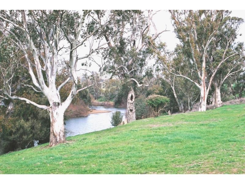 “Maybrook” 648 River Road, (Ponto Area), Geurie NSW 2831