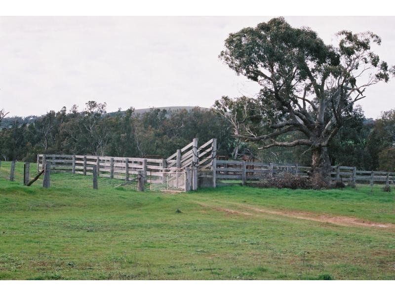 “Maybrook” 648 River Road, (Ponto Area), Geurie NSW 2831