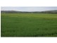 “Maybrook” 648 River Road, (Ponto Area), Geurie NSW 2831