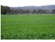 “Maybrook” 648 River Road, (Ponto Area), Geurie NSW 2831