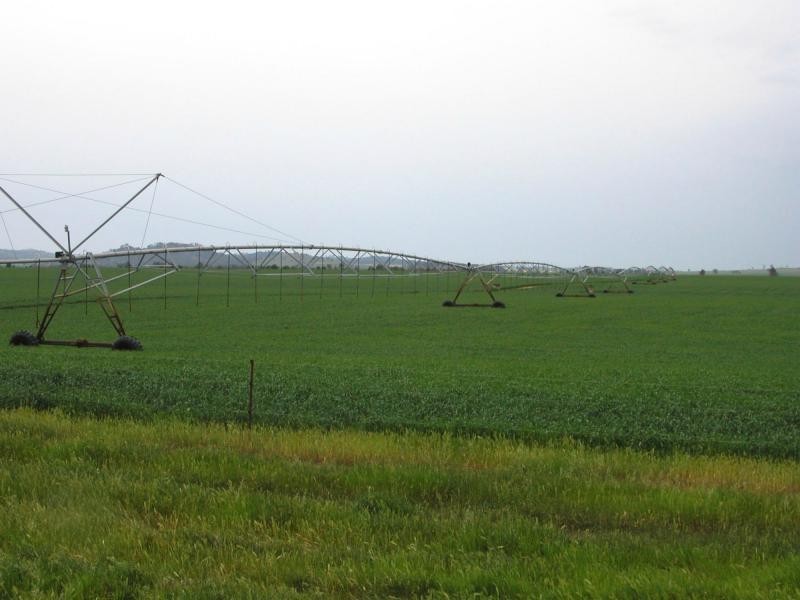 “Maybrook” 648 River Road, (Ponto Area), Geurie NSW 2831