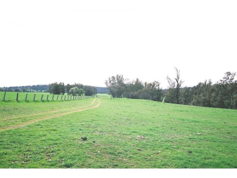 “Maybrook” 648 River Road, (Ponto Area), Geurie NSW 2831