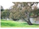 “Maybrook” 648 River Road, (Ponto Area), Geurie NSW 2831