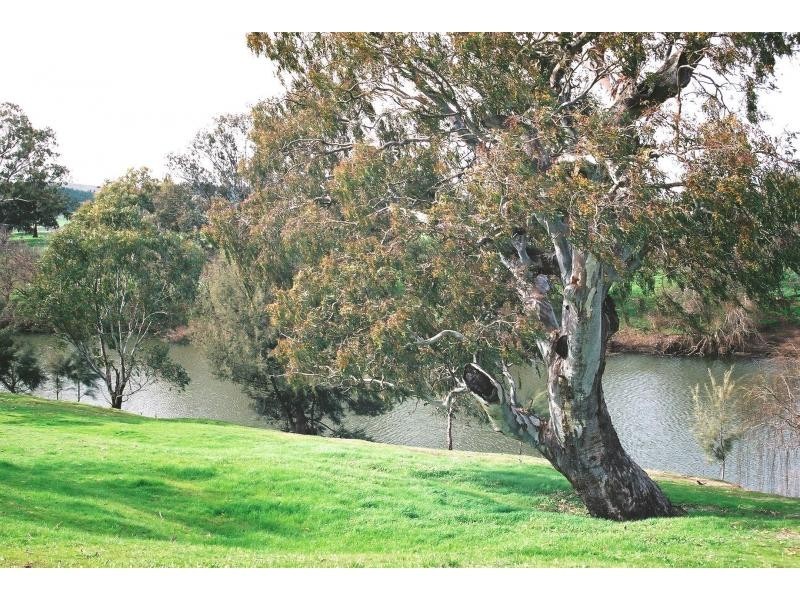 “Maybrook” 648 River Road, (Ponto Area), Geurie NSW 2831