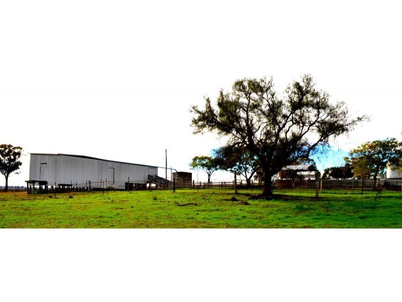 “Yarranvale” 1665 Gollan Road, Goolma NSW 2852