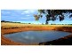 “Yarranvale” 1665 Gollan Road, Goolma NSW 2852