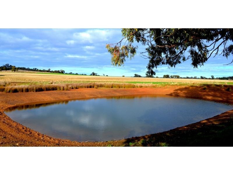 “Yarranvale” 1665 Gollan Road, Goolma NSW 2852