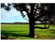 “Yarranvale” 1665 Gollan Road, Goolma NSW 2852