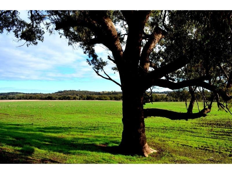 “Yarranvale” 1665 Gollan Road, Goolma NSW 2852