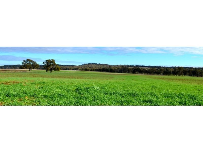 “Yarranvale” 1665 Gollan Road, Goolma NSW 2852