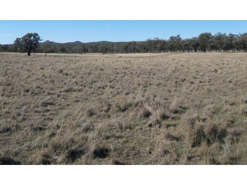 1659 Gollan Road, Goolma NSW 2852