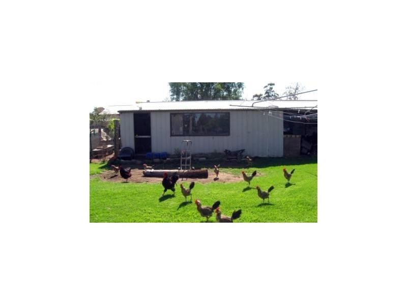 Lot 14 Denman Street, Merrygoen NSW 2831