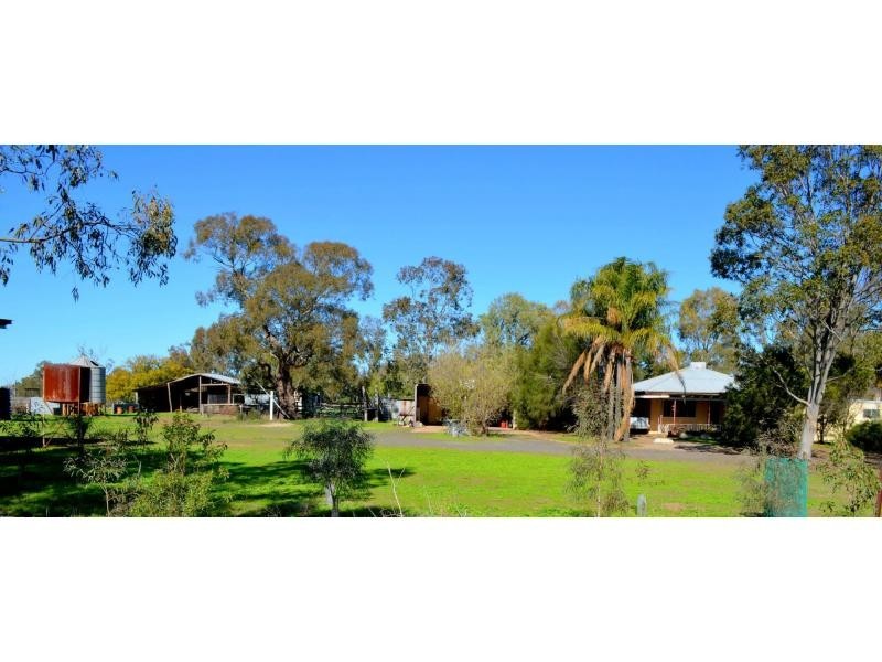 “Lexden” 66 Riverview Road, Gilgandra NSW 2827