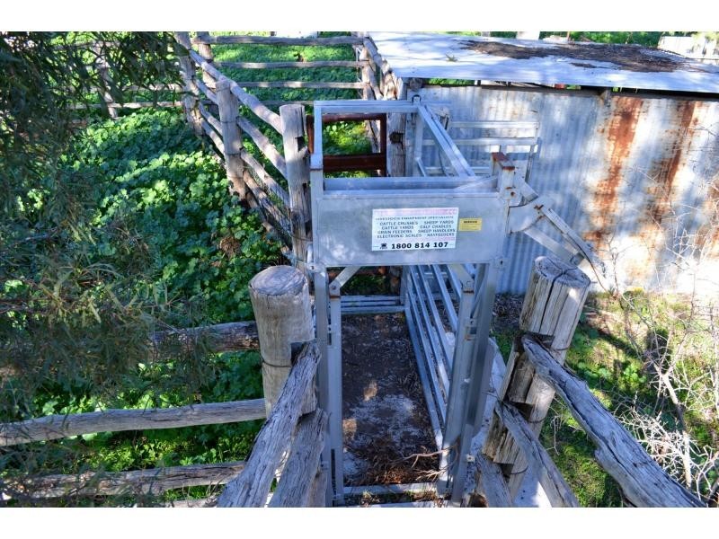 “Lexden” 66 Riverview Road, Gilgandra NSW 2827