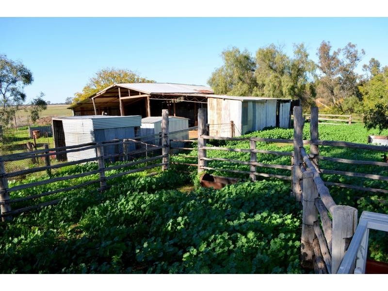 “Lexden” 66 Riverview Road, Gilgandra NSW 2827