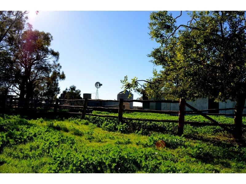 “Lexden” 66 Riverview Road, Gilgandra NSW 2827