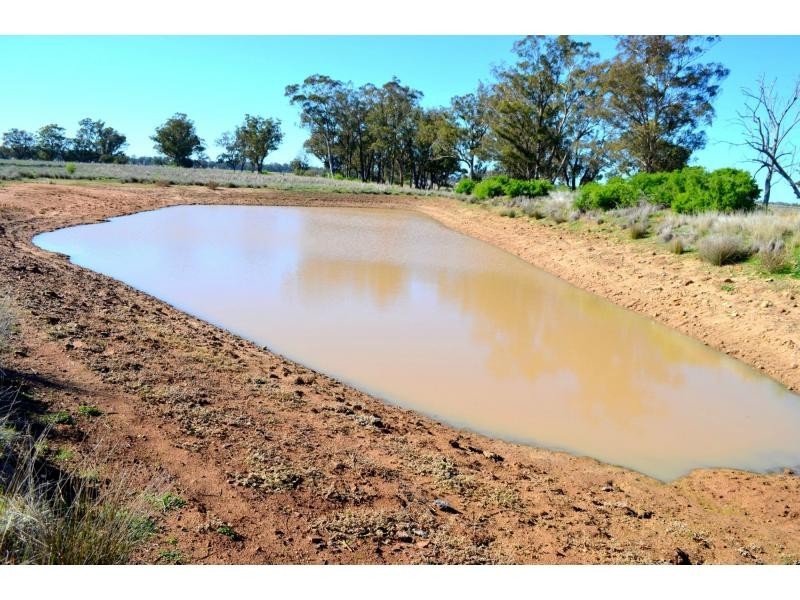 “Lexden” 66 Riverview Road, Gilgandra NSW 2827