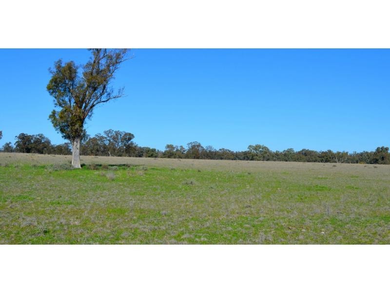 “Lexden” 66 Riverview Road, Gilgandra NSW 2827