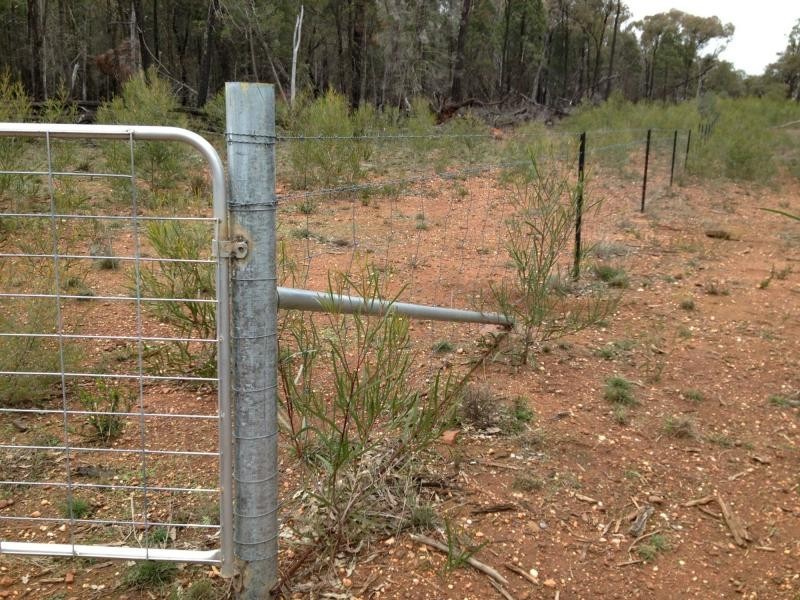 Ballimore NSW 2830