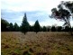 Ballimore NSW 2830