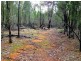 Ballimore NSW 2830