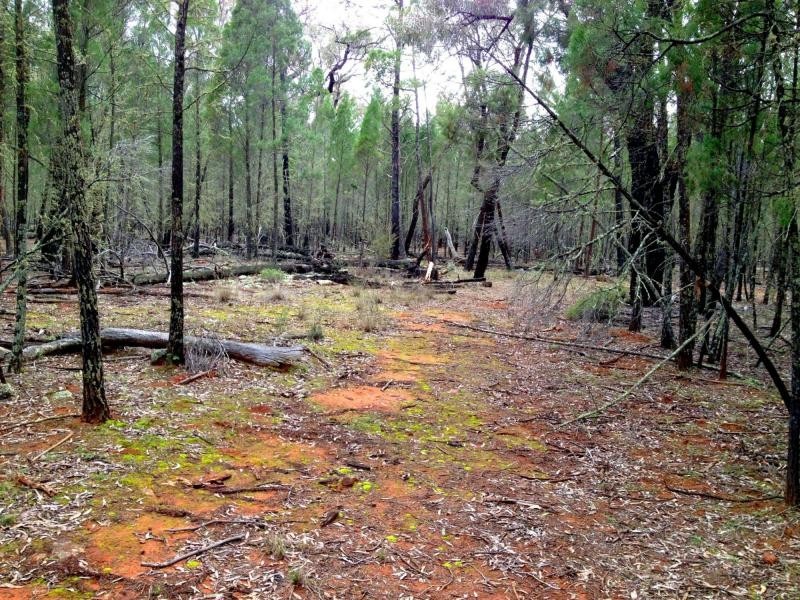 Ballimore NSW 2830