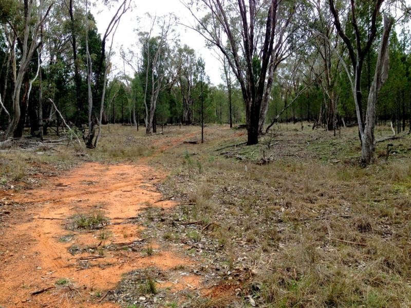 Ballimore NSW 2830