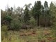 Ballimore NSW 2830