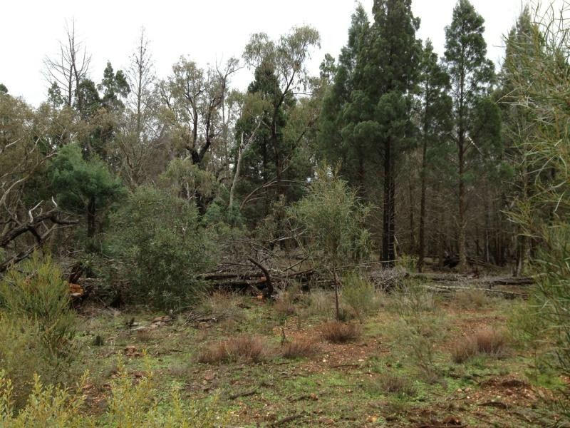Ballimore NSW 2830