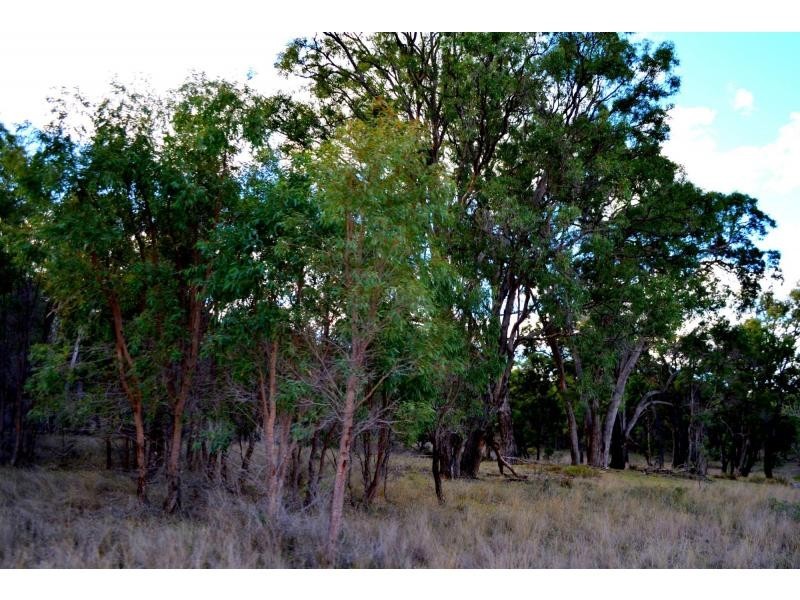 1149 Oakey Creek Road, Goolma NSW 2852
