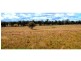 1149 Oakey Creek Road, Goolma NSW 2852