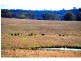1149 Oakey Creek Road, Goolma NSW 2852