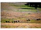1149 Oakey Creek Road, Goolma NSW 2852