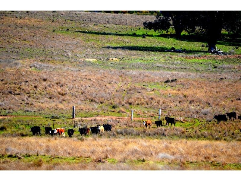 1149 Oakey Creek Road, Goolma NSW 2852