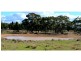 “Werriwa” Digilah Road, Dunedoo NSW 2844