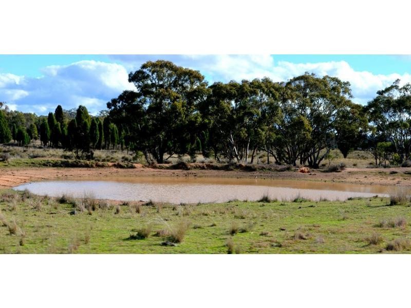 “Werriwa” Digilah Road, Dunedoo NSW 2844