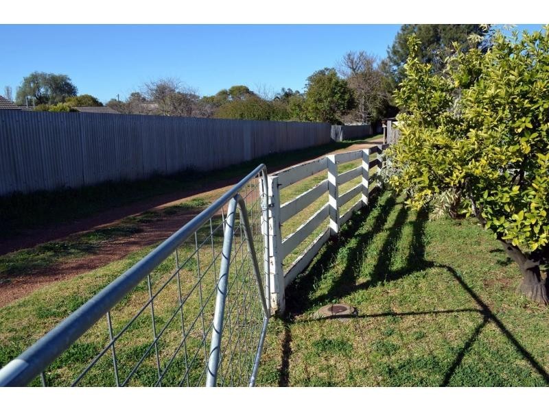35 Tucklan Street, Dunedoo NSW 2844